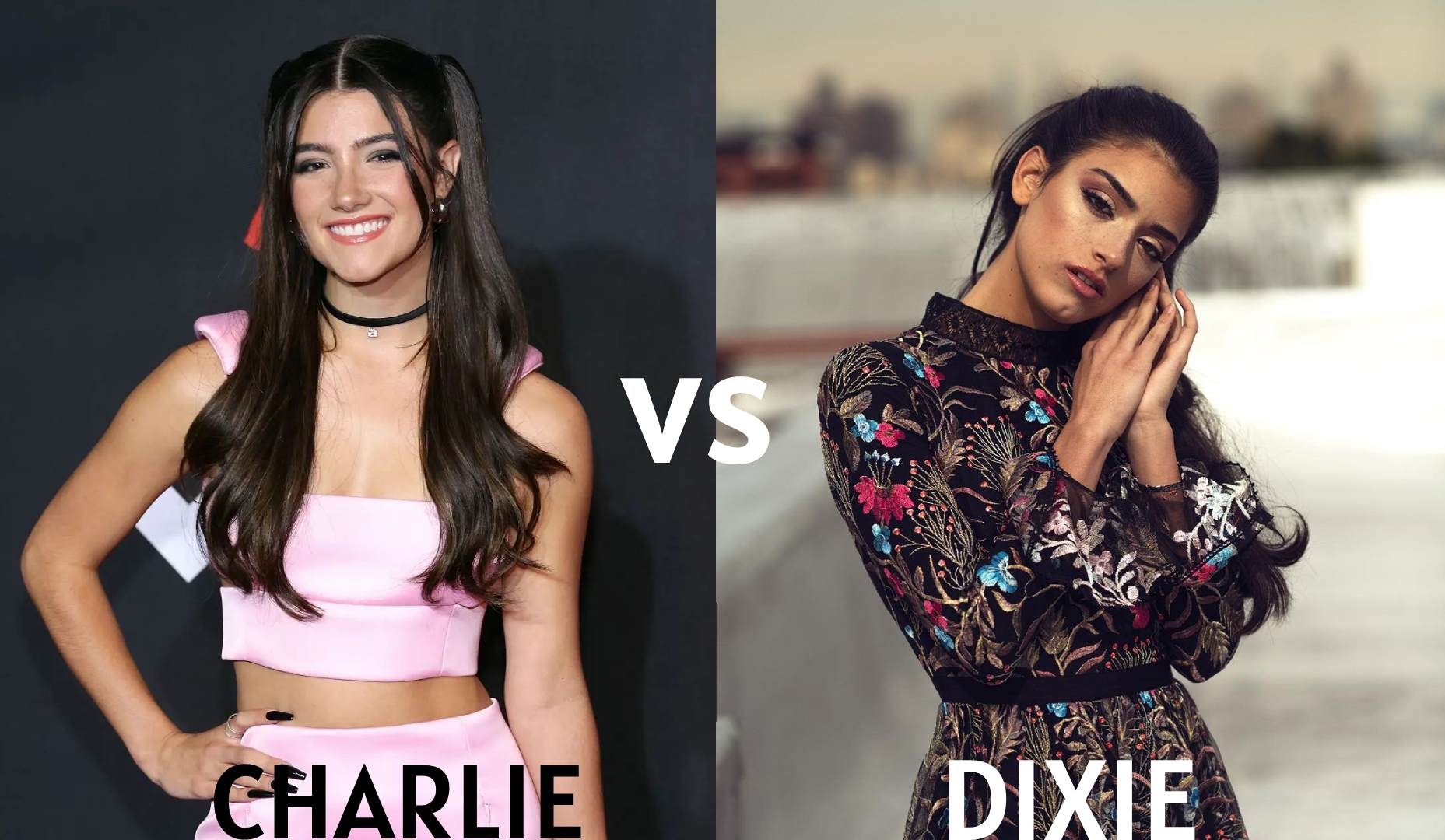 Charlie vs Dixie Who is more famous