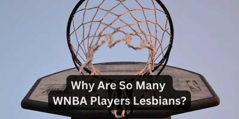 Why-Are-So-Many-WNBA-Players-Lesbians